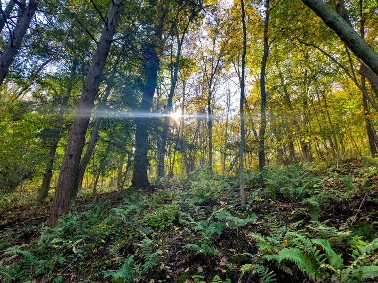 Titan Park Hillside