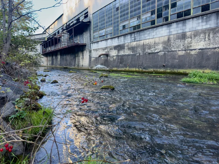 Logan Branch Stream