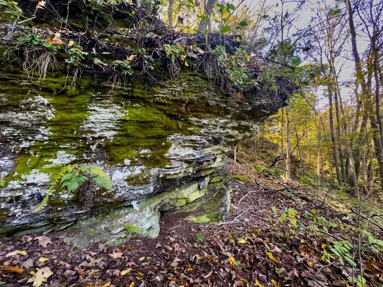 Woodland Rock Formation