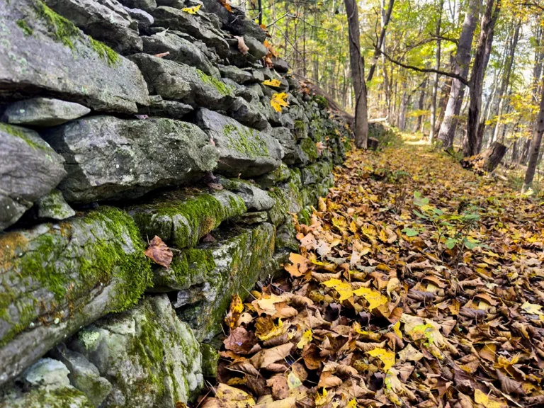 Stone Wall Detail