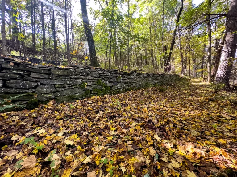 Long Stone Wall